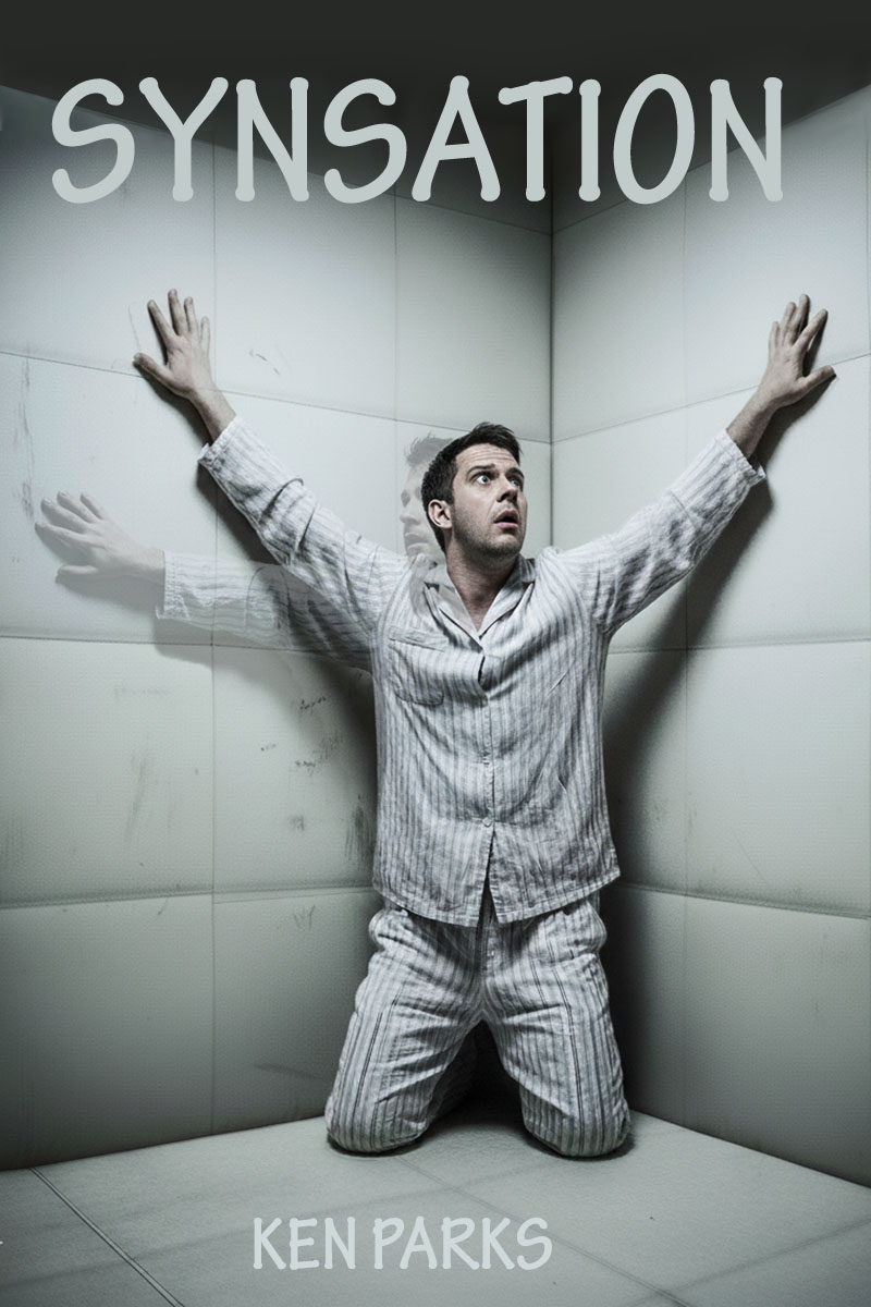 Synsation-800X1200-1 Synsation by Ken Parks ©2025